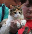 D_20140126 -184156 _IMG_A016a